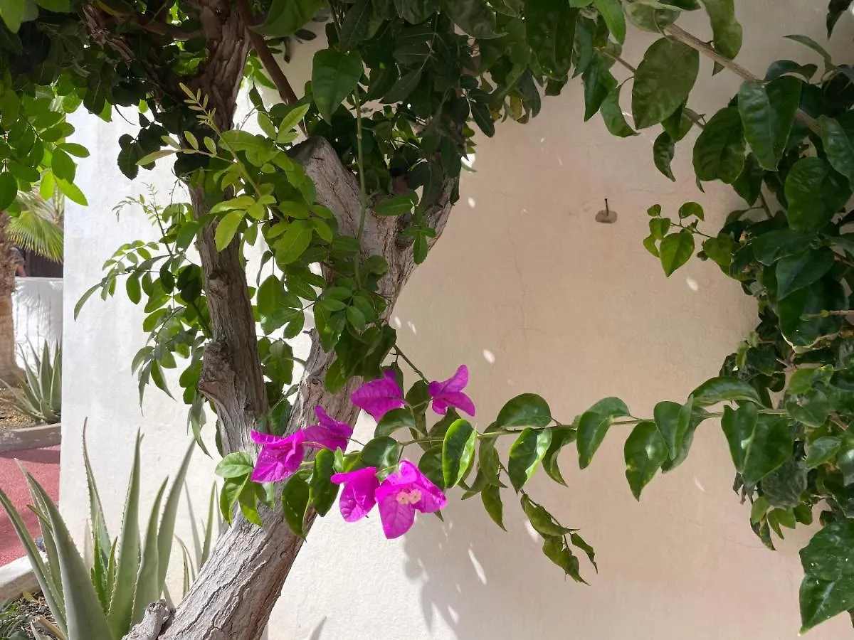 Holiday home Parque Holandes Fuerteventura Casa Mayte La Oliva Spain